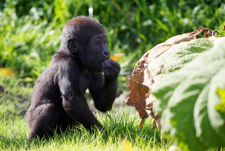 Camden Court Hotel | Dublin 2 | 9