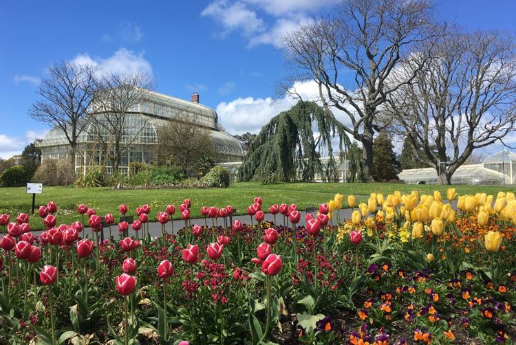 Camden Court Hotel | Dublin 2 | 10